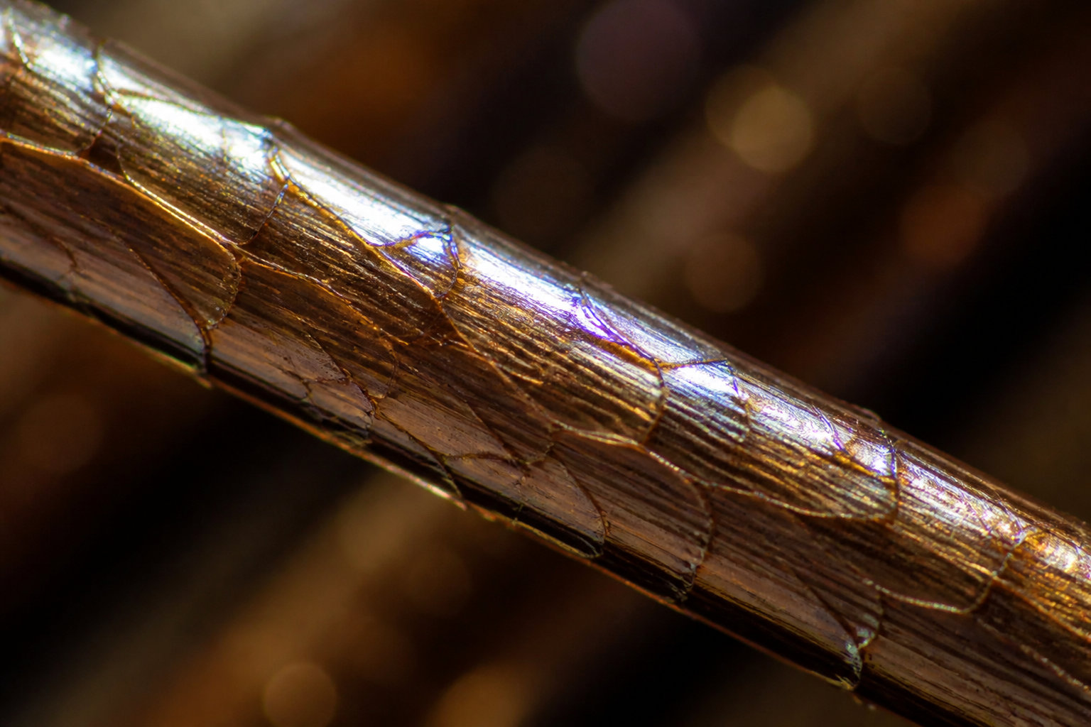 Différences techniques entre gloss et coloration d'oxydation